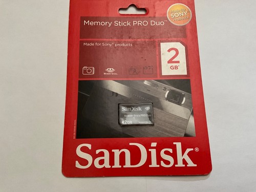 1pcs new 2gb sandisk - 1pcs,